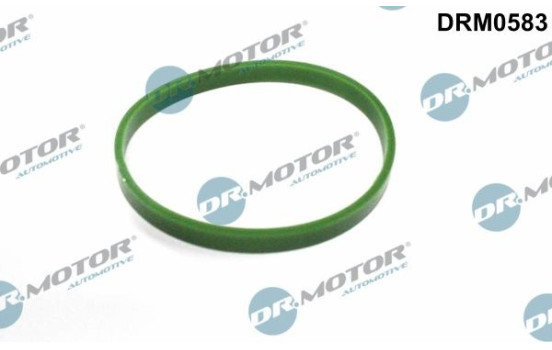 Seal ring, charge air hose