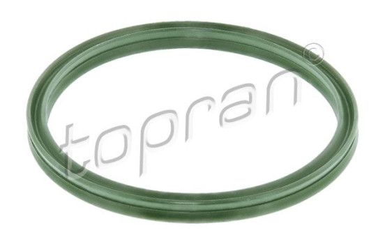 Seal Ring, turbo air hose