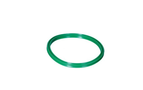 Sealing ring, charge air hose