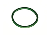 Sealing ring, charge air hose