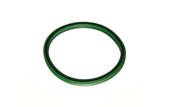 Sealing ring, charge air hose