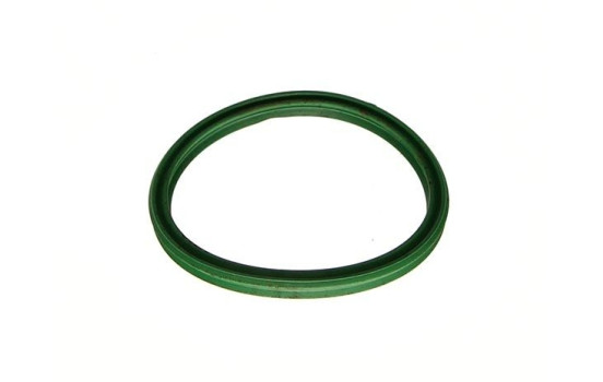 Sealing ring, charge air hose