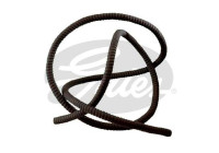 Snake 23640 Gates