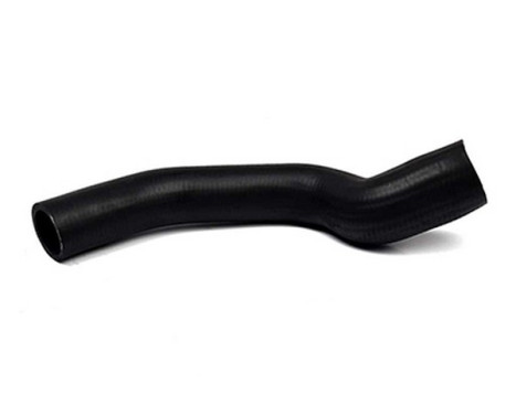 Suction hose, air filter