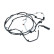 Urea Hose, Thumbnail 3