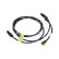 Urea Hose