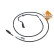 Urea Hose