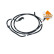 Urea Hose, Thumbnail 3