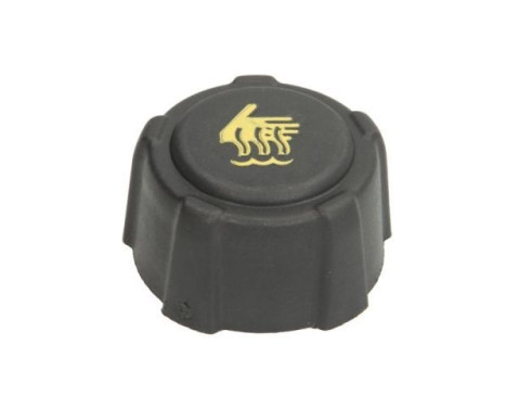 Coolant reservoir cap
