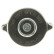 Coolant reservoir cap