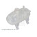 Expansion tank, coolant ADBP980009 Blue Print