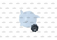 Expansion Tank, coolant EASY FIT