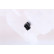 Expansion Tank, coolant, Thumbnail 6
