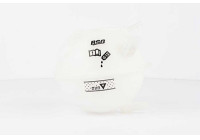 Expansion tank, coolant