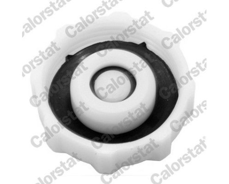 Expansion Tank, coolant, Image 2