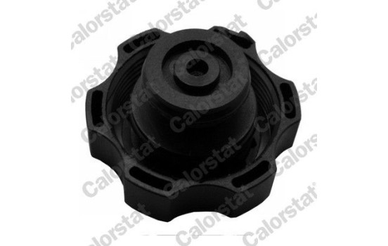 Expansion Tank, coolant, Image 2