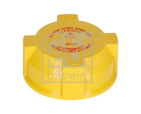 frost plug for radiator expansion vessel 183407 FEBI