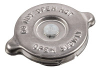 frost plug