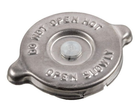 frost plug