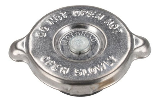 frost plug