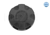 Radiator cap