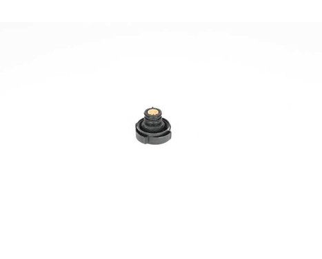 radiator cap