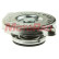 Radiator cap