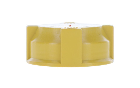 Radiator cap