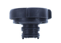 Radiator cap