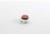 radiator cap