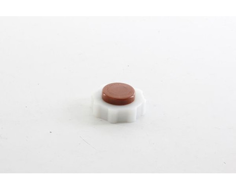 radiator cap