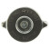 Radiator cap