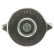 Radiator cap