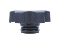 Radiator cap