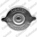 Radiator cap