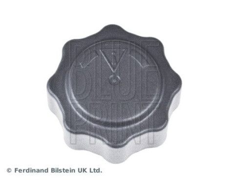 Sealing Cap, coolant tank ADB119902 Blue Print, Image 3