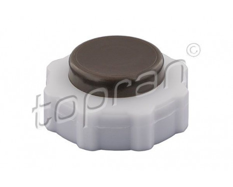 Sealing Cap, coolant tank