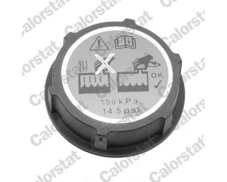 Sealing Cap, coolant tank