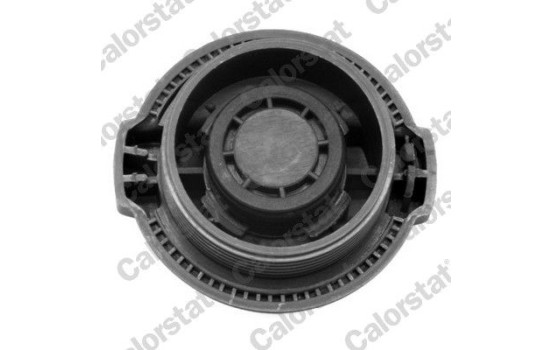 Sealing Cap, coolant tank, Image 2