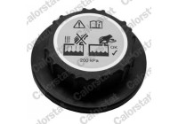 Sealing Cap, coolant tank