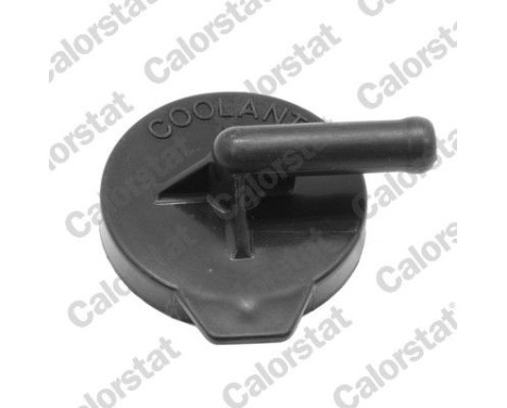 Sealing Cap, coolant tank