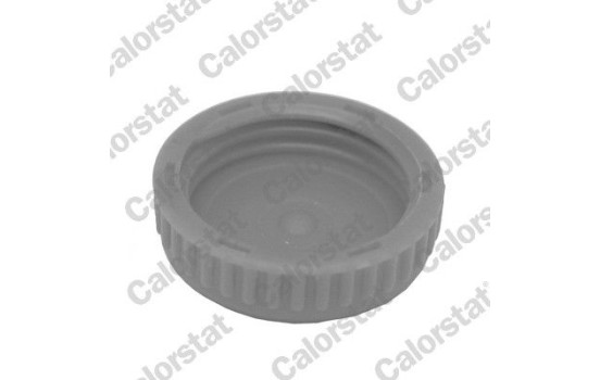 Sealing Cap, coolant tank, Image 2