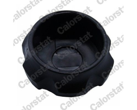 Sealing Cap, coolant tank, Image 2