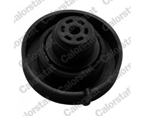 Sealing Cap, coolant tank, Image 2