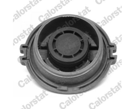 Sealing Cap, coolant tank, Image 2