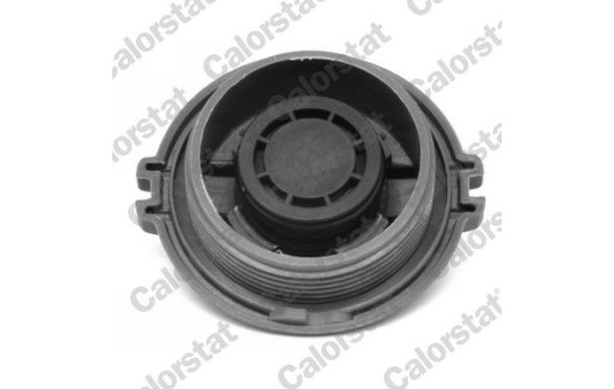 Sealing Cap, coolant tank, Image 2