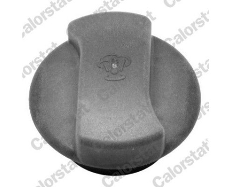 Sealing Cap, coolant tank