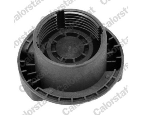 Sealing Cap, coolant tank, Image 2