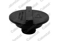 Sealing Cap, coolant tank