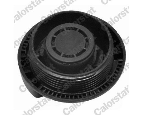 Sealing Cap, coolant tank, Image 2